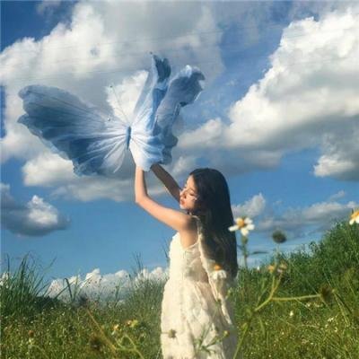 情断干戈